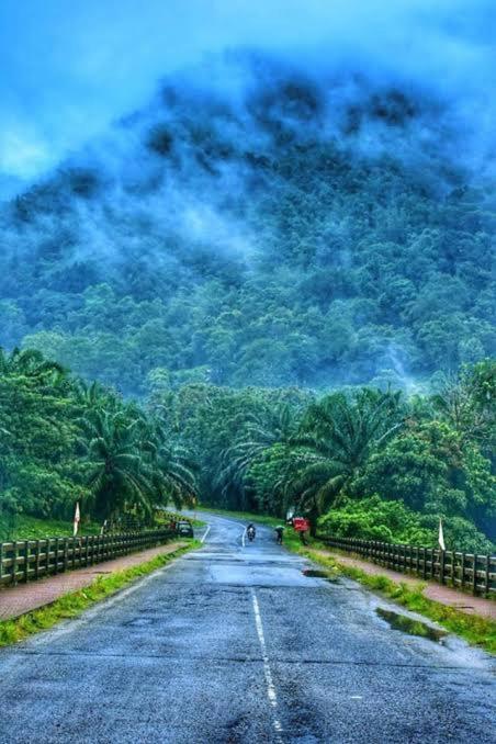 Rain Drops Premium Villas - Athirappilly Ngoại thất bức ảnh